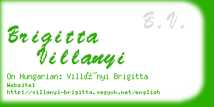 brigitta villanyi business card